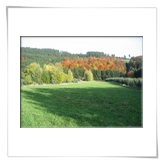 Indian Summer