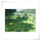 Zeltpltze